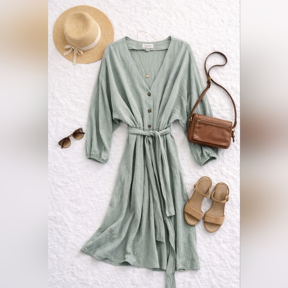 Calvin Klein Other - Calvin KLEIN sage Green Gauzy Full Button L Sleeve Belted Pockets Dress Ladies 6